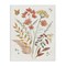 Stupell Industries Full Bloom Botanicals Canvas Wall Art Design by Anne Tavoletti